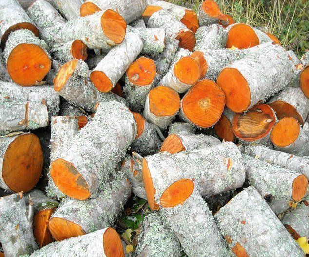 Доставка дров из ольхи